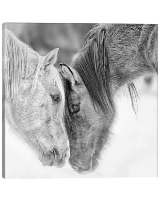 iCanvas Icanvas B&W Horses Vii By Phburchett Wall Art