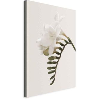 OEM Pintura - Pluma De Primavera (1 Parte) Vertical