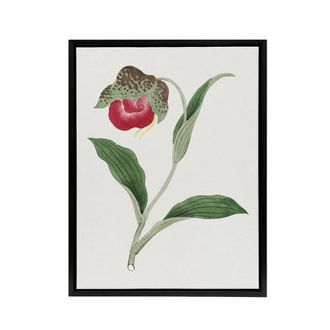 Artery8 Orchid Flower Framed Canvas Wall Art Print Vintage Japanese Botanical in Orange | Size: W24 x H32