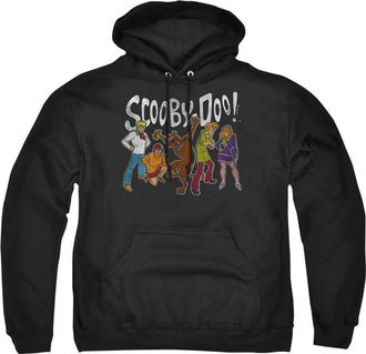Gildan Scooby Doo Gang Adult Pull Over Hoodie / Hooded Sweatshirt