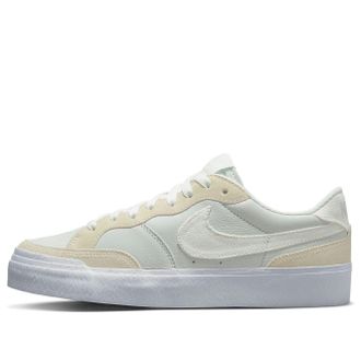 Nike (WMNS) Nike SB Pogo Premium Skate Shoes DZ7584-110