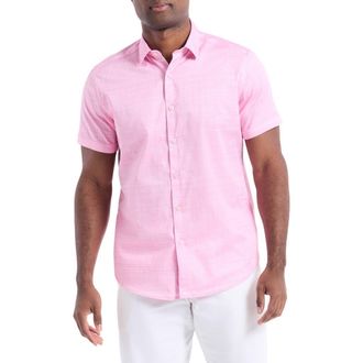 Robert Graham Roth Short Sleeve Cotton Button-Up Shirt in Light Pink at Nordstrom Rack, Size Xxx-Large