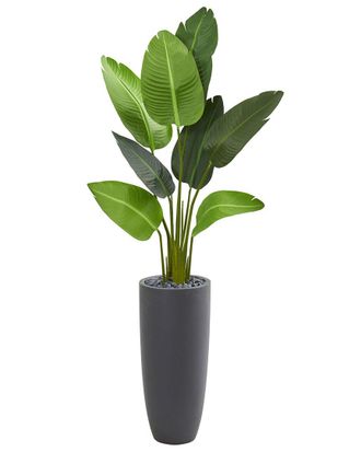 Nearly Natural 5.5Ft Travelers Palm Artificial Tree In Planter