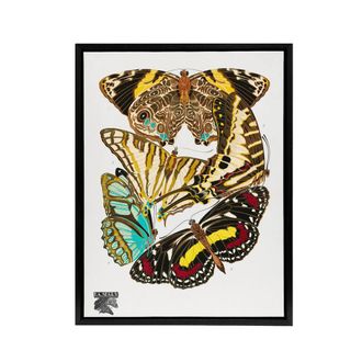 Artery8 Papillons Butterflies Vintage Framed Canvas Wall Art Print Eugene Seguy | Size: W24 x H32