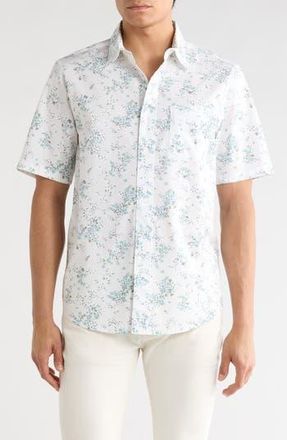 14th & Union Stretch Cotton Poplin Button-Up Shirt in White Hardy Floral at Nordstrom Rack, Size Xx-Large