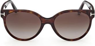 Tom Ford Tallulah 56mm Gradient Round Sunglasses in Dark Havana /Gradient Smoke at Nordstrom
