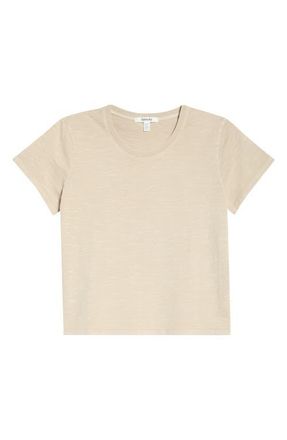 Splendid Louisa Short Sleeve T-Shirt in Fawn Brown at Nordstrom, Size X-Small