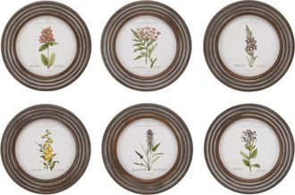 Melrose International Round Framed Floral Print (Set of 6) - Brown, White, Green