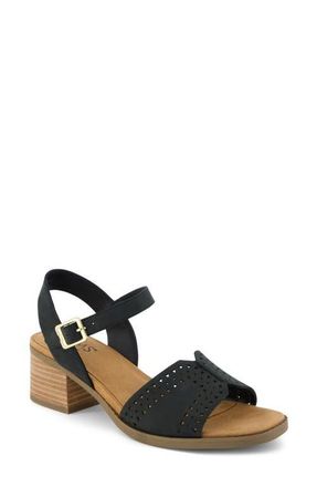Toms Eloise Heeled Open Toe Sandal in Black Perforated at Nordstrom, Size 7.5