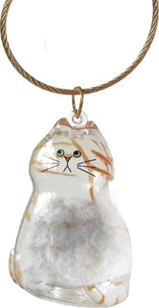 Generic Cat Hair Storage Bottle Keychain, Transparent Cat Keepsake Box Key Ring, Cute Collecting Kitten Animal Hair Bottle Keyring, Funny Pet Kitten Memory Bo