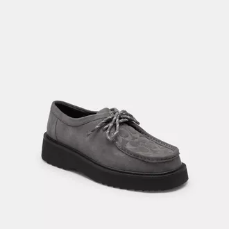 Coach Chukka Boot In Signature Suede