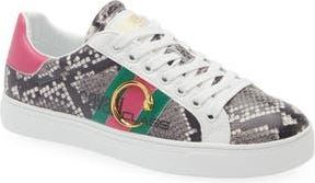 Roberto Cavalli Low Top Sneaker in White at Nordstrom Rack, Size 10Us / 40Eu