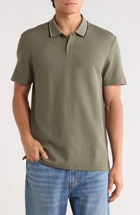 Calvin Klein Tipped Collar Cotton Blend Polo in Dusty Olive at Nordstrom Rack, Size Xx-Large