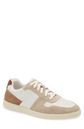 Steve Madden Herro Low Top Sneaker in White/Tan at Nordstrom Rack, Size 10.5