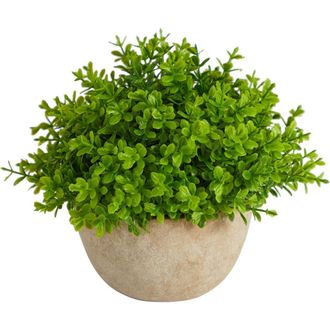 Nearly Natural 5-in Boxwood Artificial Plant in Decorative Planter in Green at Nordstrom