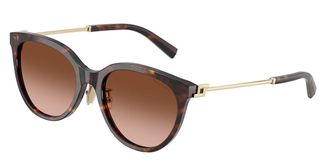 Tiffany & Co. TF4243D Asian Fit 80153B Womens Sunglasses Tortoiseshell Size 55
