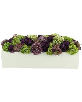 Creative Displays Inc. Multicolor Sedum Floral Display