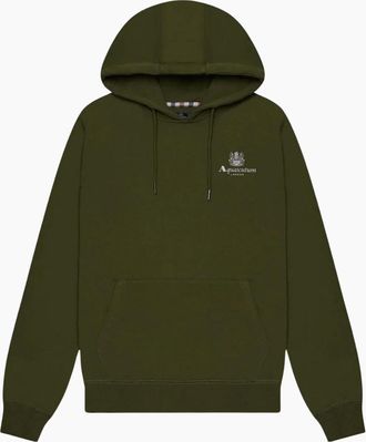 Aquascutum Mens Aquascutum Active Big Logo Green Hoodie - Tan - Size: 44