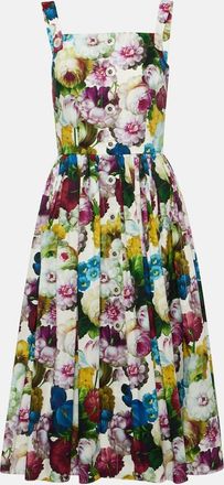 Dolce & Gabbana Floral cotton midi dress