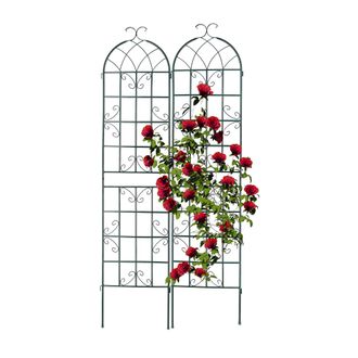 Relaxdays Relaxdays - Soportes Para Plantas, Set De 2, 220 X 50 Cm, Enrejados Aut&oacute;nomos Para Trepadoras, Tutores Para Rosales, Verde