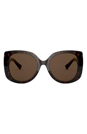 Versace 56mm Butterfly Sunglasses in Dark Havana /Dark Brown at Nordstrom