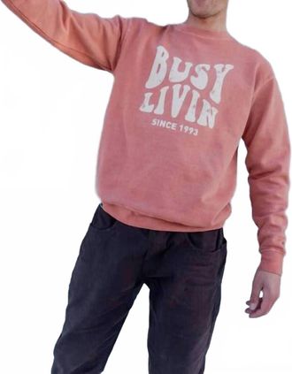 Kavu Core Crewneck Sweater In Fire Brick
