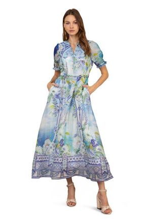 Hale Bob Cyrilla Linen Organza Maxi Dress in Blue at Nordstrom, Size Medium