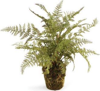 Napa Home & Garden Soft Fern Artificial Drop-In 13 in Green at Nordstrom