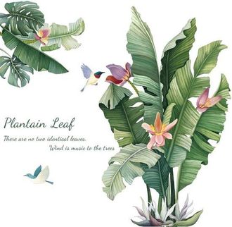 OEM Pegatinas De Pared, Pegatinas De Plantas Verdes, Dise&ntilde;os De Plantas Tropicales: Pintura Decorativa De Hojas De Pl&aacute;tano Verdes Con Un Fondo Fresco