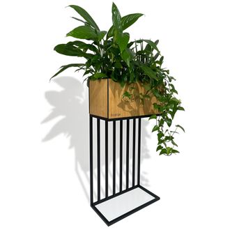OEM Soporte Para Plantas Harmonic Oak Para Altillo, 42 X 22 X 80 Cm