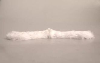 Dolce & Gabbana White Fur Shoulder Collar Wrap Shawl Womens Scarf