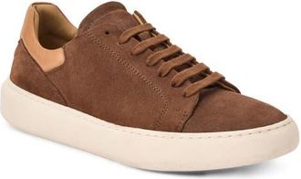 Bruno Magli Salvatore Sneaker in Taupe Suede at Nordstrom, Size 9.5