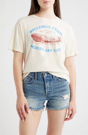 Daydreamer Greetings from Morro Bay Burnout Graphic T-Shirt in Stone Vintage at Nordstrom, Size X-Small