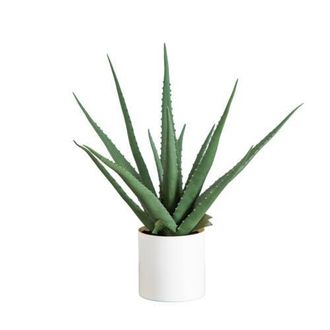 Nearly Natural 17.5-in Artificial Agave Plant in Green at Nordstrom