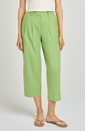 Wayf Stevie Linen Blend Crop Pants in Pistachio at Nordstrom, Size X-Large