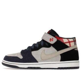 Nike SB Dunk Mid Goofy Boy 314381-021