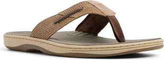 Sperry Top-Sider Baitfish Flip Flop in Taupe at Nordstrom, Size 10