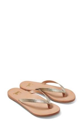 beek Seabird Flip Flop in Plho at Nordstrom Rack, Size 6