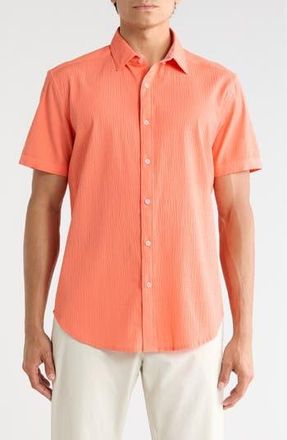 Robert Graham Harbor Short Sleeve Stretch Cotton Button-Up Shirt in Peach at Nordstrom Rack, Size Xx-Large