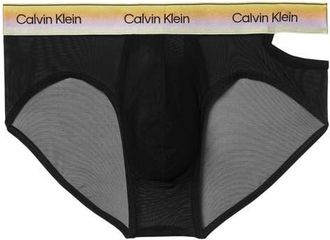 Calvin Klein Pride Sheer Mesh Briefs in Black at Nordstrom, Size X-Large