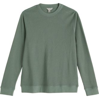 Seasalt Cornwall Jackline Waffle Knit Organic Cotton Top in Dusky Green at Nordstrom, Size Xx-Large