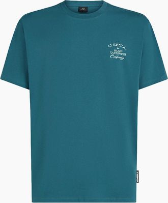 O'Neill Mens ONeill Mens Beach Chest Print Short Sleeve T-Shirt - Green - Size: 44