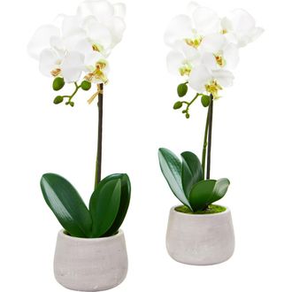 Nearly Natural Phalaenopsis Orchid Artificial Arrangement in White at Nordstrom