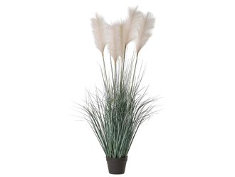 Schubiger M&ouml;bel Kunstpflanze Pampas-Gras West H: 140 cm