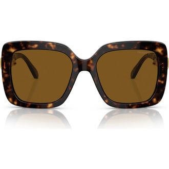 Swarovski 55mm Polarized Square Sunglasses in Havana /Polar Brown at Nordstrom