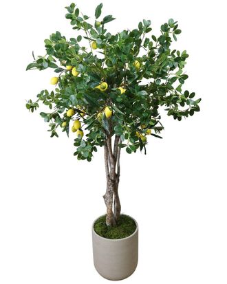 Creative Displays Inc. Lemon Tree In Fiberstone Pot