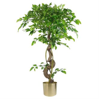 Leaf Artificial Japanese Fruticosa Ficus Tree Gold 120cm in Green