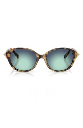 Tiffany & Co. 54mm Round Sunglasses in Blonde Havana /Azure Radial at Nordstrom