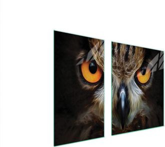 OEM Placa Protectora De Vidrio Para Estufa 90x52 B&uacute;ho