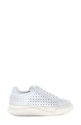 Voile Blanche Herika Perforated Sneaker in White at Nordstrom, Size 10Us